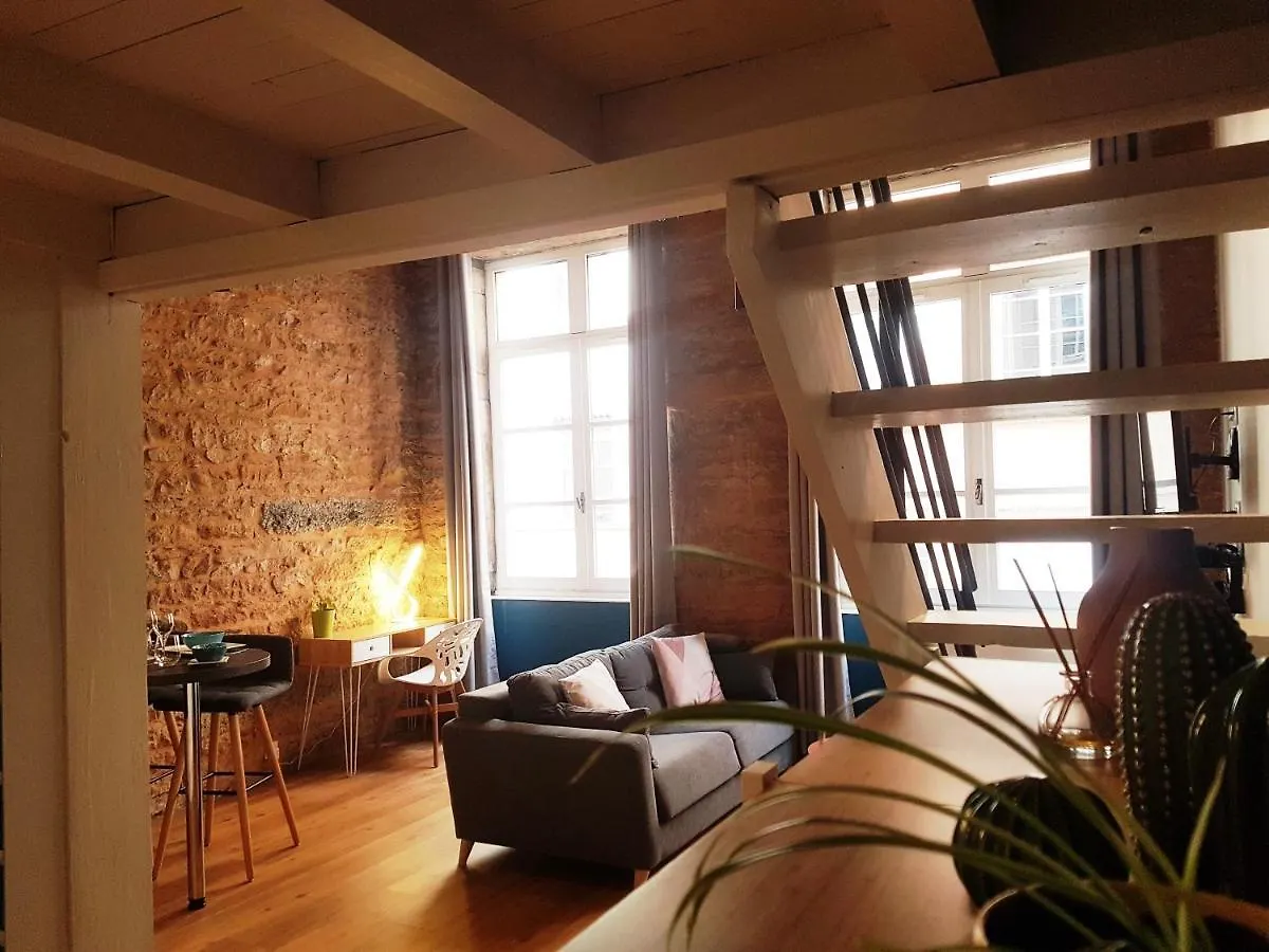 ליון Charmant Appartement Style Canut Pentes Croix Rousse 0*,